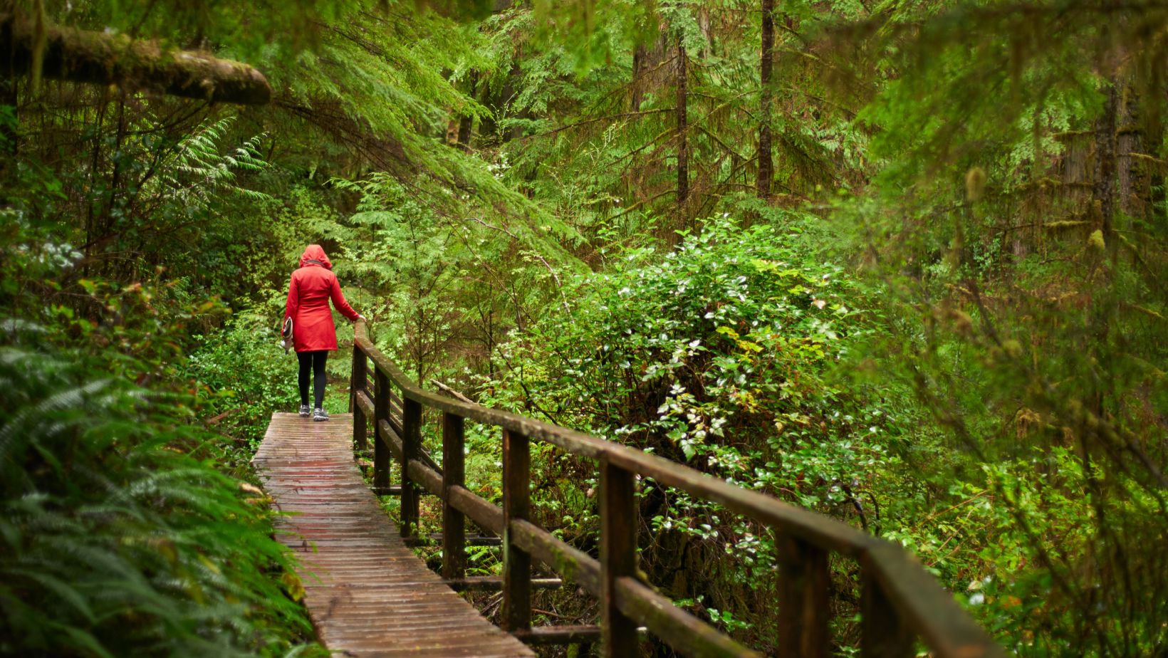 Orenda Center of Wellness Outpatient and MH Services Center